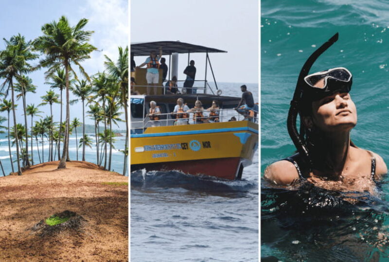 Mirissa: Whale Watching, Snorkeling, and Coconut Hill Tour - The Value Proposition
