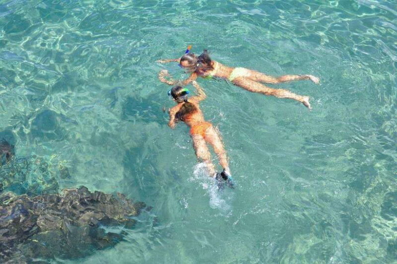 Mirissa: Whale Watching, Snorkeling, and Coconut Hill Tour - Who Should Book This Tour?