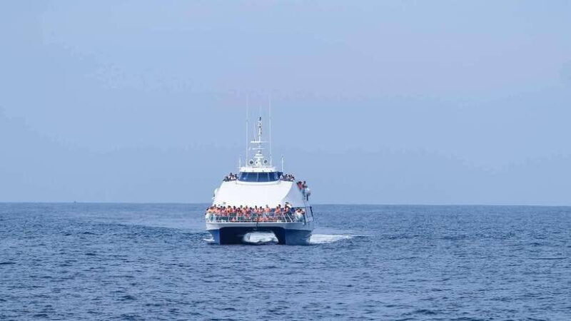 Mirissa: Whale Watching Tour From Colombo or Negombo - An In-Depth Look at the Whale Watching Experience