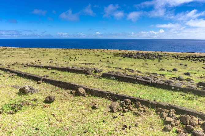 Miru: The North Coast Full Day Hike - Halfway Picnic Lunch Experience