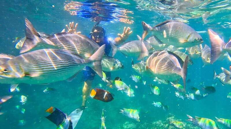 Mismaloya: Snorkeling, Cliff Jumping, and Beach Tour - Authentic Reviews and Insights