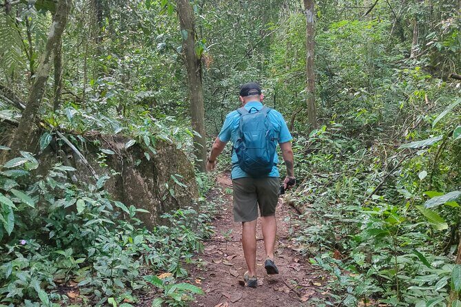 Mismaloya Waterfalls Private Tour in Puerto Vallarta - Introduction to the Mismaloya Waterfalls Private Tour