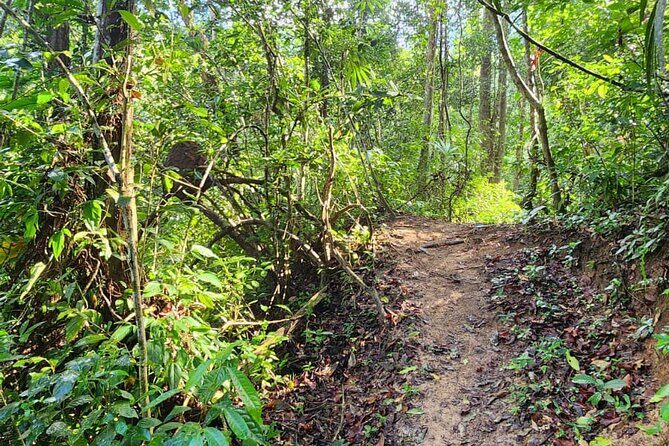 Mismaloya Waterfalls Private Tour in Puerto Vallarta - Practical Details and Considerations