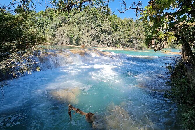 Misol Ha Blue Waterfalls and Palenque Archaeological Area - Final Thoughts: Who Would Love This Tour?