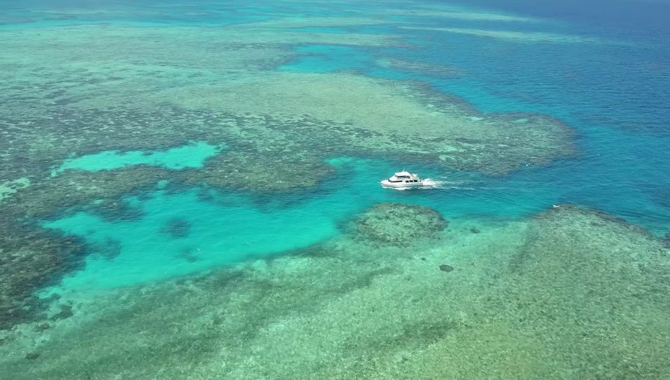 Mission Beach: Great Barrier Reef Snorkel or Dive Cruise - Key Points