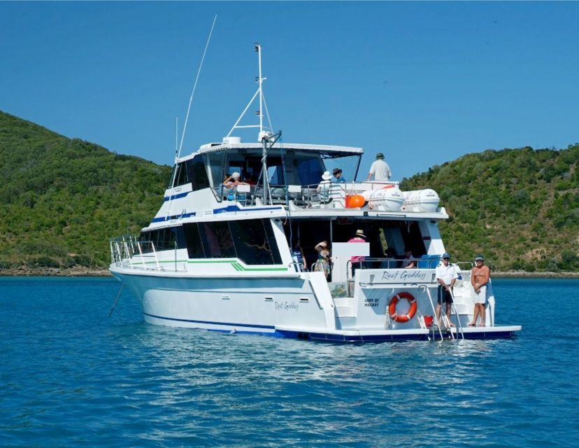 Mission Beach: Great Barrier Reef Snorkel or Dive Cruise - Enjoy a Day on MV Reef Goddess