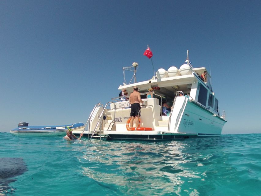 Mission Beach: Great Barrier Reef Snorkel or Dive Cruise - Frequently Asked Questions