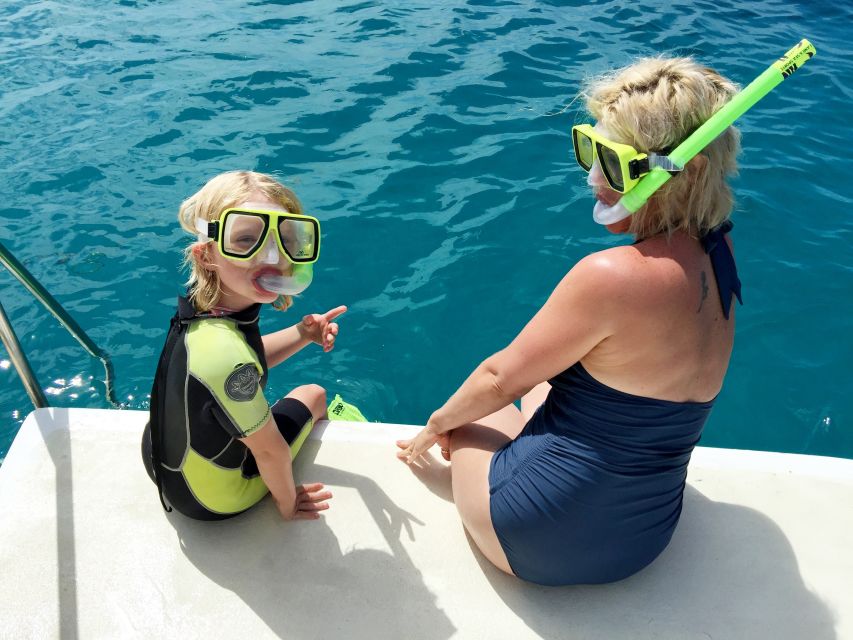 Mission Beach: Great Barrier Reef Snorkel or Dive Cruise - Recap