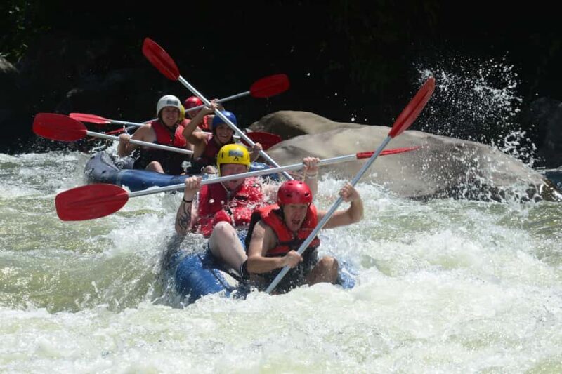 Mission Beach: Tully River Half Day White Water Rafting - Key Points