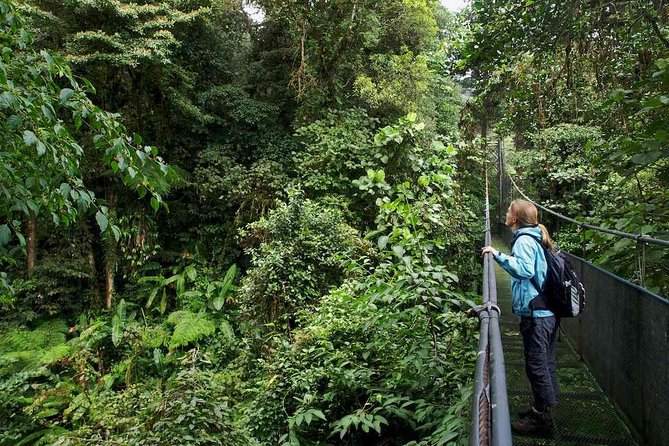 Mistico Arenal Hanging Bridges - Transportation and Meeting Point
