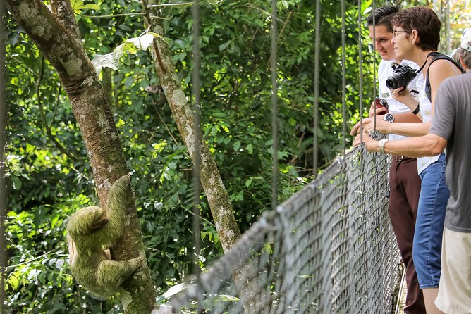 Mistico Hanging Bridges Admission Ticket - Dress Code and Accessibility