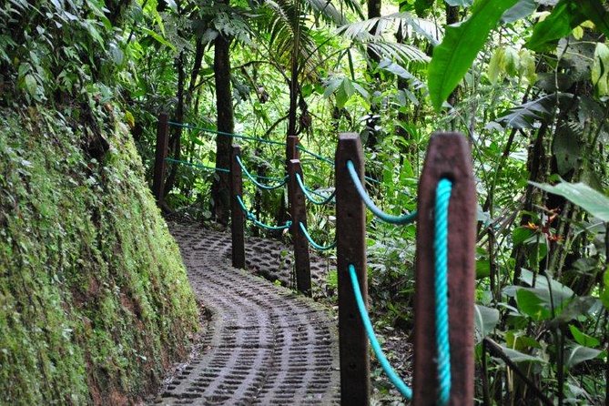 Mistico Hanging Bridges Park From La Fortuna - Wildlife and Scenic Highlights