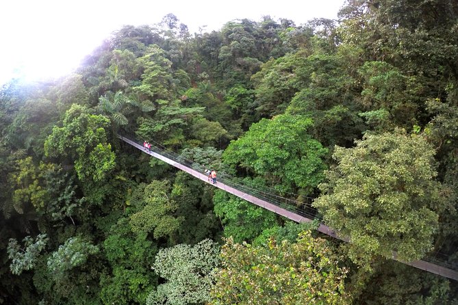 Mistico Park Hanging Bridges Guided Tour - Guided Tour Benefits
