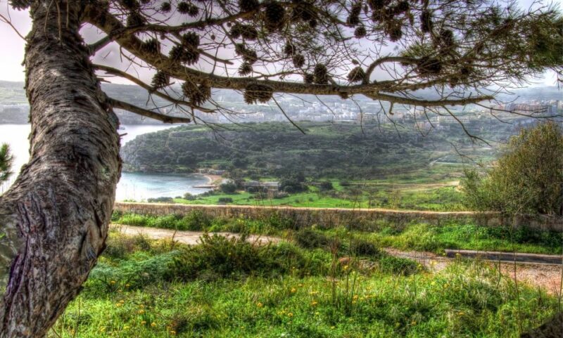 Mistra Valley and Selmun Private Nature Tour with Transport - Key Points