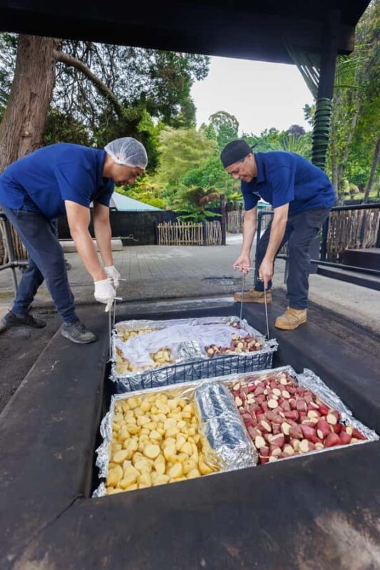 MITAI MAORI VILLAGE Night XP & Polynesian Spa from Auckland - Cost and Value