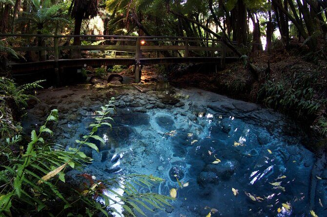 Mitai Maori Village,Waiotapu Thermal Wonderland& Redwood Treewalk - The Full Breakdown of Your Day in Auckland
