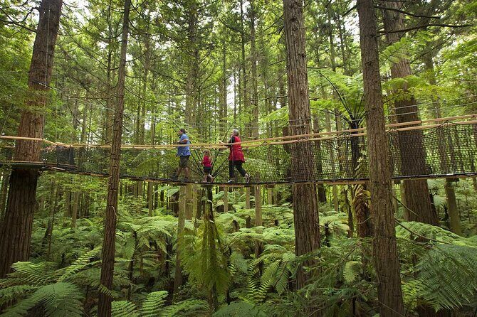 Mitai Maori Village,Waiotapu Thermal Wonderland& Redwood Treewalk - FAQs