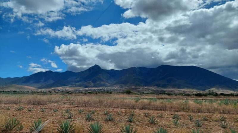 Mitla: Bike Tour to the Archaeological Zone and Caves with Rock Art - Practical Details and Logistics