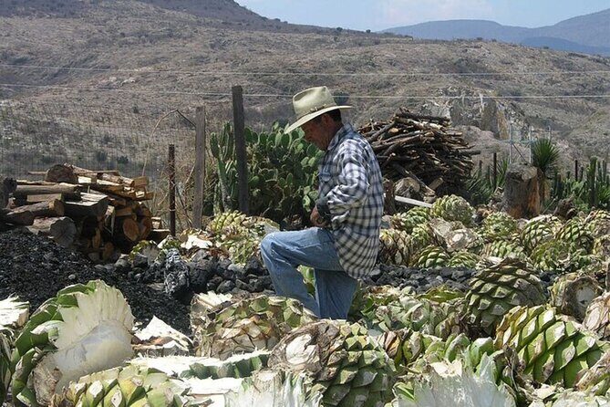 Mitla, Tule, Hierve el agua and Teotilán - Final Thoughts: Is This Tour Worth It?