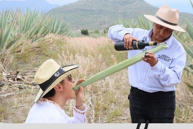 Mixer - What Travelers Can Expect