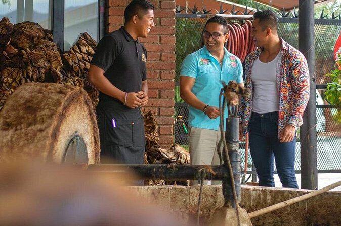 Mixer - Why This Tour Might Be Right for You