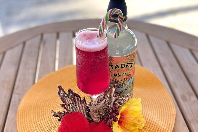 Mixology Class in Bridgetown 10 Minutes from Cruise Terminal - Key Points