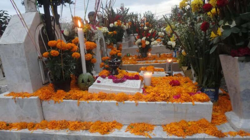 Mixquic Day of the Dead Celebration from Mexico City - Introduction to the Experience