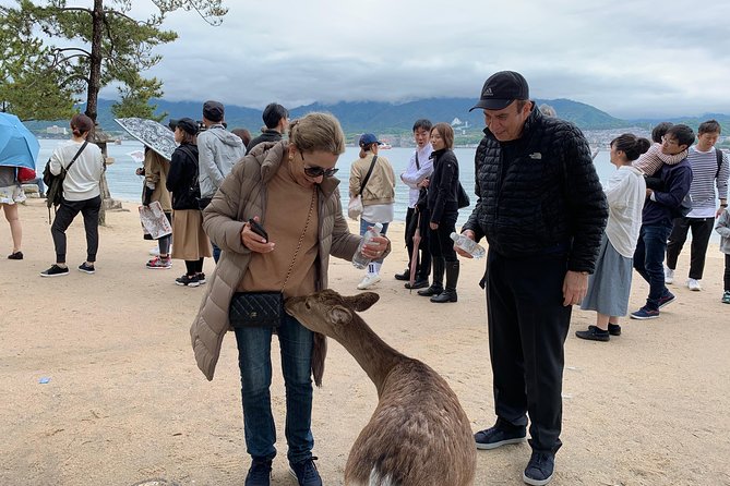 Miyajima Half-Day Private Tour With Government Licensed Guide - Cancellation Policy