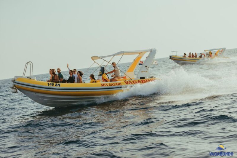 Mljet National Park trip - Bike, Boat & Beach experience - An Introduction to the Mljet National Park Tour