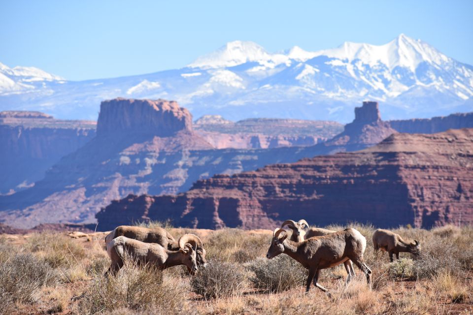 Moab: Canyonlands National Park 4x4 White Rim Tour - Preparation Recommendations