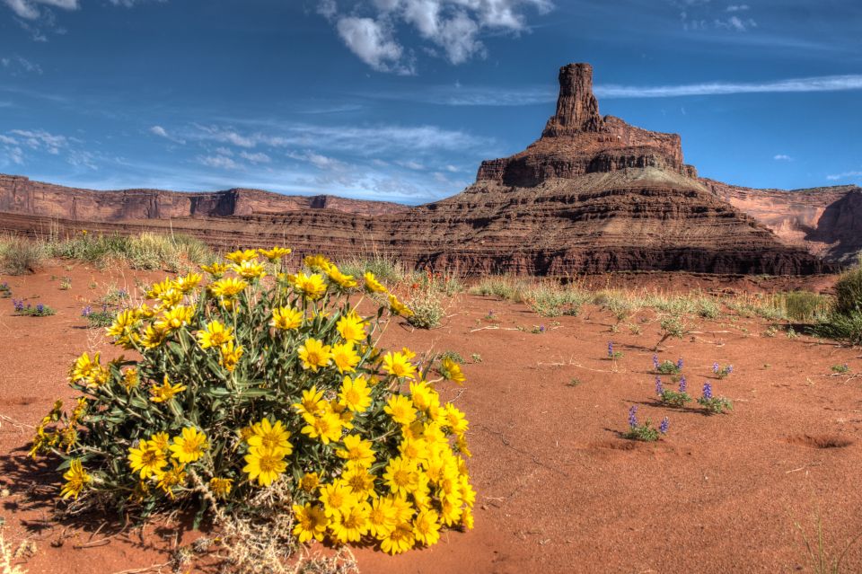 Moab: Canyonlands National Park 4x4 White Rim Tour - Frequently Asked Questions