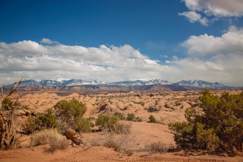 Moab: Self-Driven Guided Sunset UTV Tour to Fins N Things - Requirements