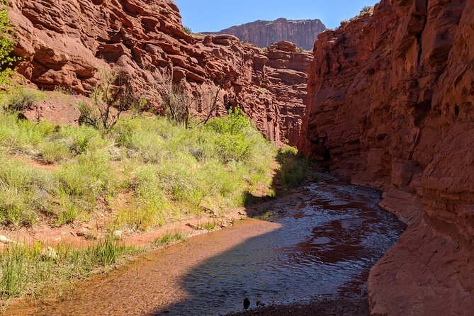 Moabs Slot Canyon Hike: Refreshingly Cool Summer Creek Adventure - Meeting and Pickup Locations
