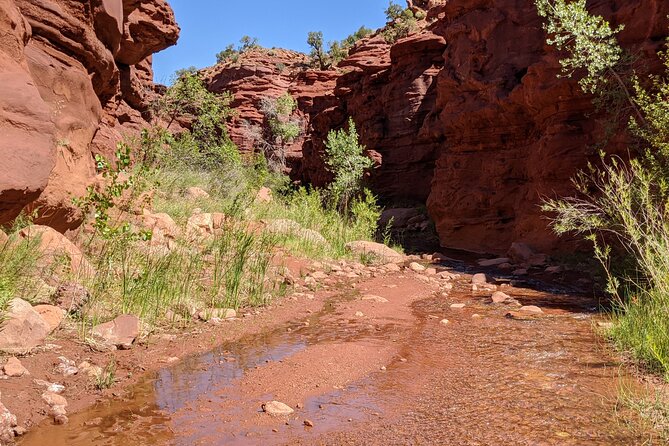 Moabs Slot Canyon Hike: Refreshingly Cool Summer Creek Adventure - Essential Gear for Your Adventure