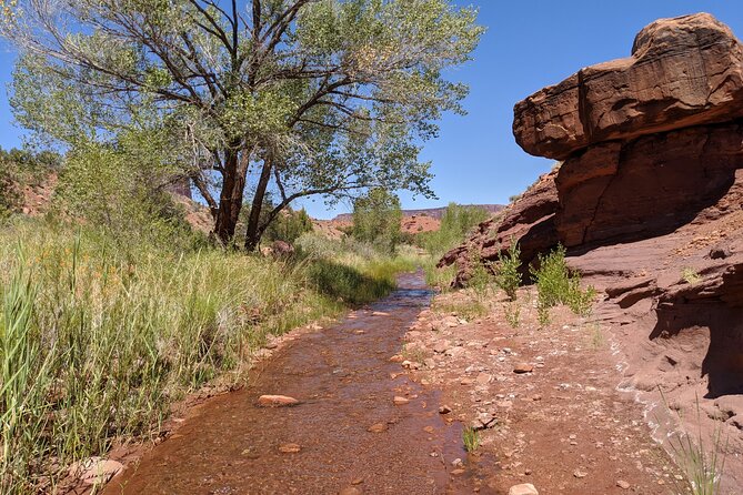 Moabs Slot Canyon Hike: Refreshingly Cool Summer Creek Adventure - Health and Safety Considerations