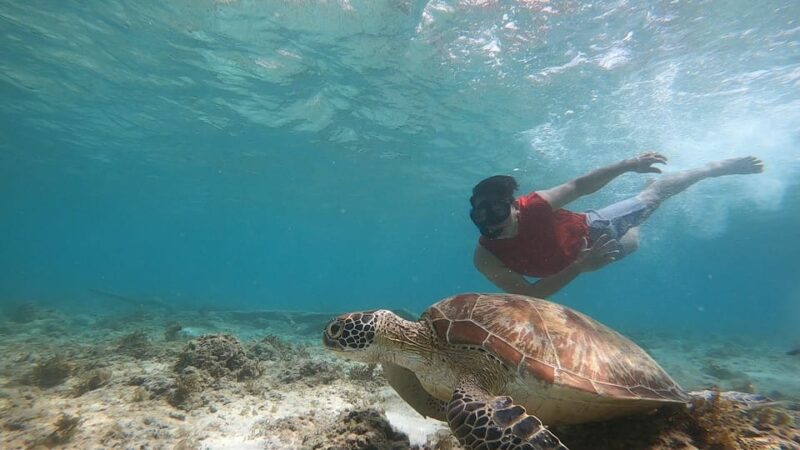 Moalboal: Island Hopping and Mantayupan Falls Day Trip - Important Information and Recommendations