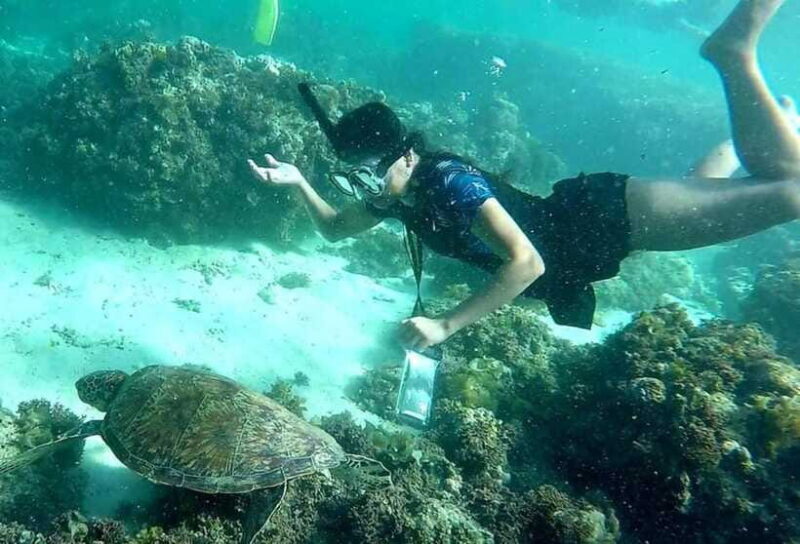 Moalboal: Pescador Island Hopping Adventure and Sardine Run - FAQ