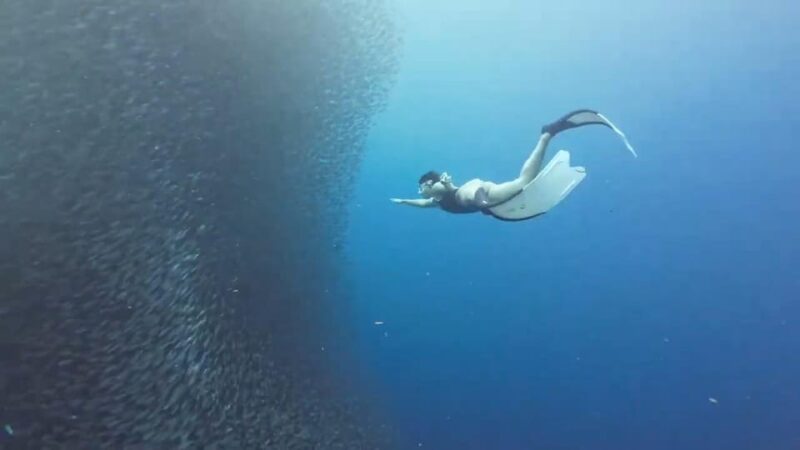 Moalboal: Pescador Island & Mantayupan Falls Adventure! - Itinerary and Activities
