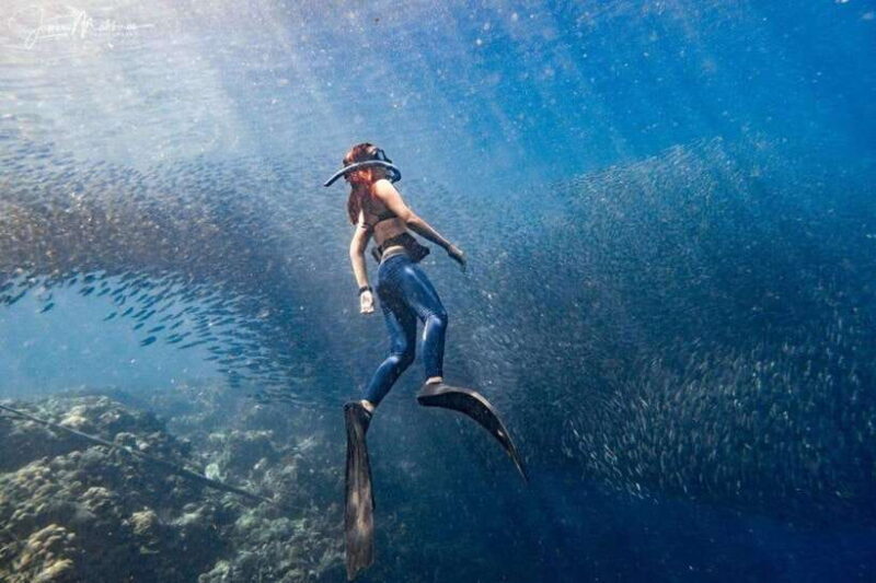 Moalboal: Scuba Diving and Pescador Island Hopping - A Deep Dive into the Experience