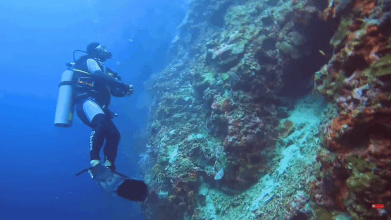 Moalboal : Scuba Diving Sardine Run and Turtle Chasing - Pickup Locations