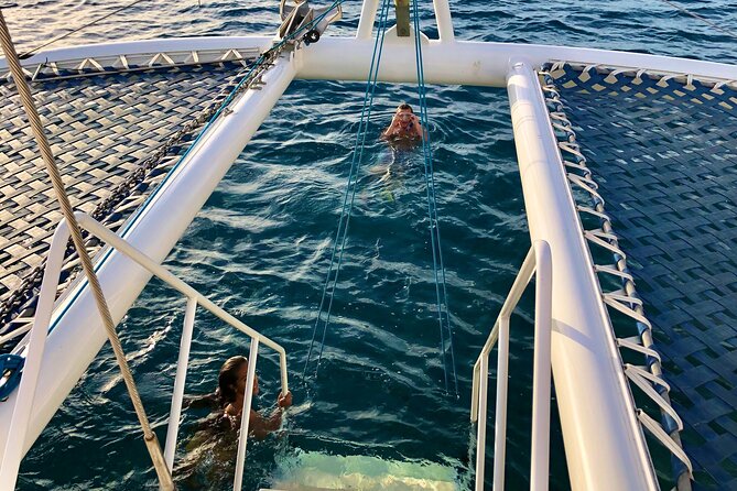 Moana's Guided Turtle Snorkel & Sailing Adventure at Waikiki - Safety and Accessibility