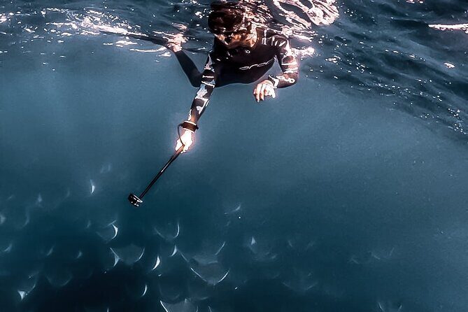 Mobula Ray Snorkeling with Photos Included - What to Expect on the Tour