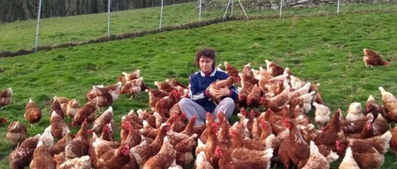 Moca: Farm Tour with Animal Feeding and Egg Collecting - Introduction