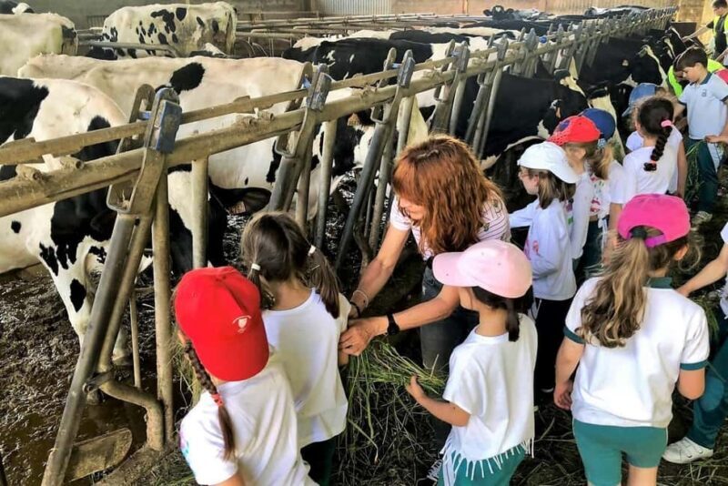 Moca: Farm Tour with Animal Feeding and Egg Collecting - Value and Practicalities