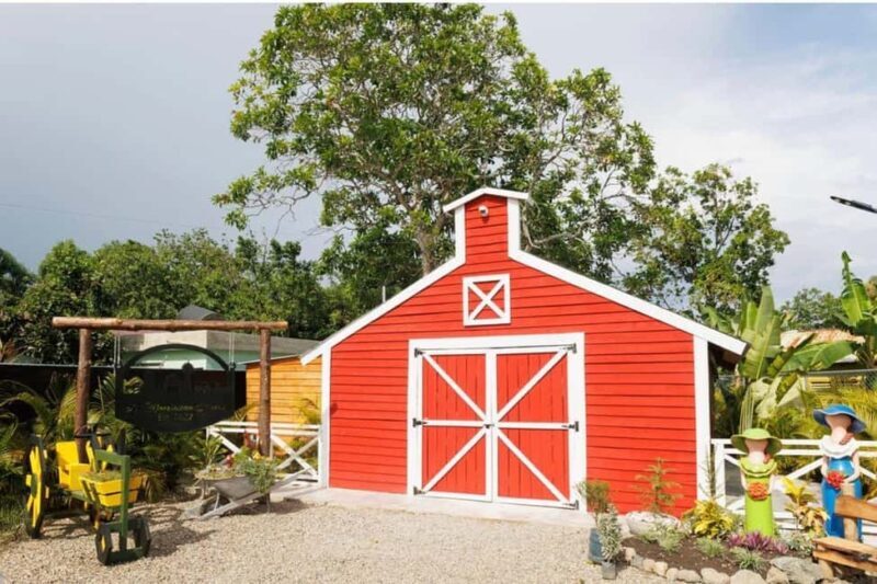 Moca: Farm Tour with Animal Feeding and Egg Collecting - Who Is This Tour Best For?