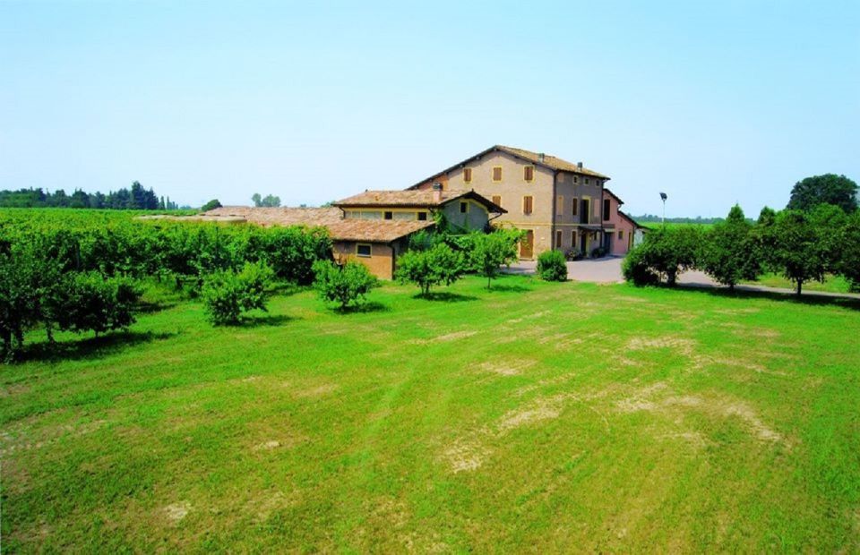 Modena: Balsamic Vinegar Tasting Experience - Tasting Experience