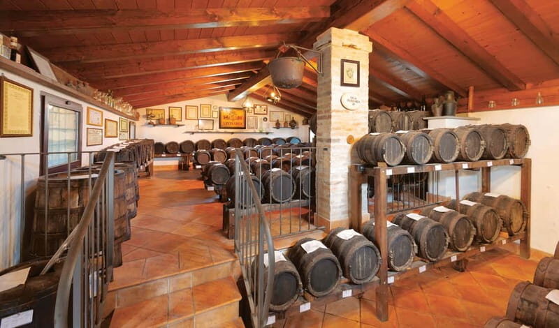 MODENA: BALSAMIC VINEGAR TOUR AND TASTING - Discovering the True Taste of Modena’s Balsamic Vinegar