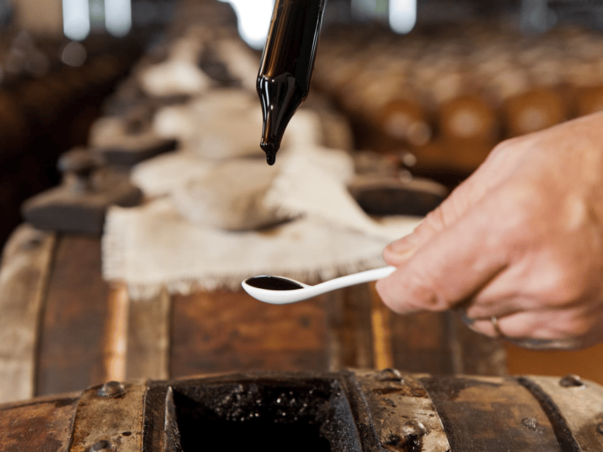 Modena Food Tour: Sightseeing & Taste - Sightseeing and Walking Tour