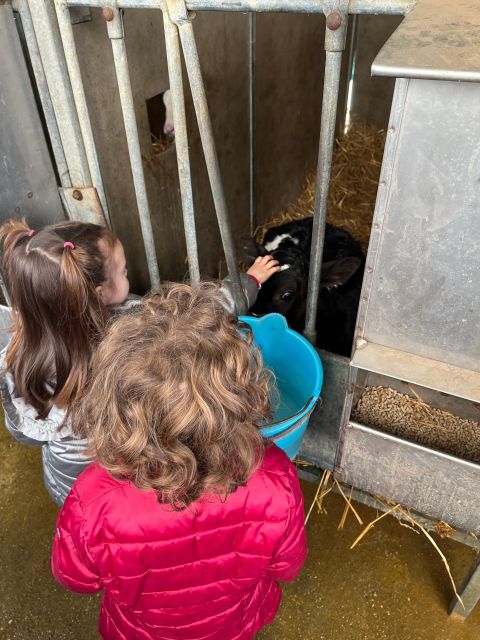 Modena: Parmesan, Balsamic Vinegar, Lambrusco + Light Lunch - Organic Dairy Farm