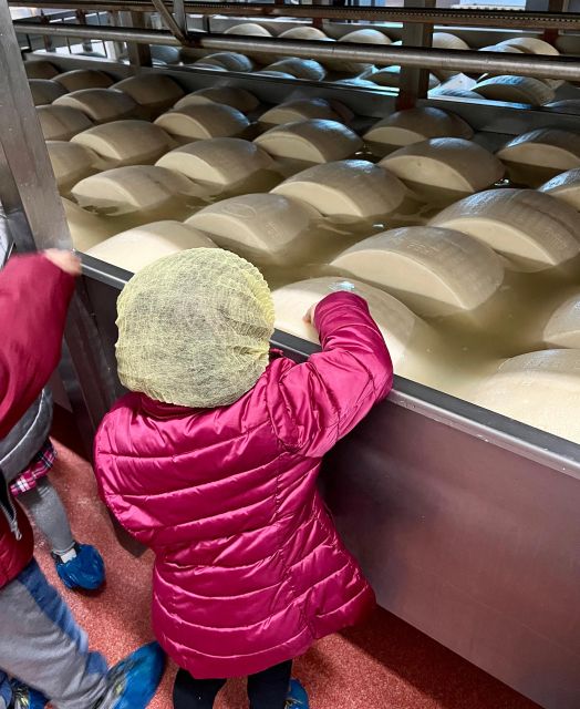 Modena: Parmesan, Balsamic Vinegar, Lambrusco + Light Lunch - Vinegar Cellar Tour